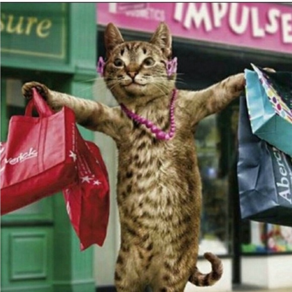 BullBoxer Shoes - Picture 10 of 12